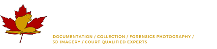 Canadian Evidence Services logo